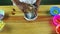 Top view on dark-skinned man hands grating cheese at metal grater on wooden table