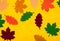 Top view of decorative multi colored felt leaves. Autumn background.