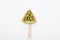 Top view of delicious watermelon on stick with kiwi on white background.