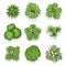 Top view different plants and trees vector set for architectural or landscape design