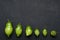 Top view of different shapes and sizes of green juicy tomatoes on the dark surface.Process of growing.Empty space