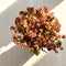 Top view dried daisy flower jar with long oblique shadow on white