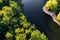 Top view from drone of the bank of blue lakes and green forests on a sunny summer day and newlyweds. drone photography