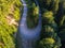 Top view, drone shot ,curving forest road in the  pine woods