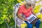 Top view of eldery man sitting and relaxing on summer holiday rasort using laptop on grass on couch