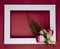 top view of an empty picture frame with small bouquet of red color roses with fennel on red background with copy space