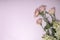 Top view of eustoma,lupin bouquet on the bright pink surface.Empty space