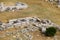 Top view of the excavation site in ruined ancient city of Hierapolis. The remains of destroyed buildings and columns