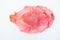 Top view of exotic whole ripe pitaya on white background.