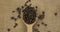 Top view of falling beans of coffee into a wooden spoon. The grain fills the spoon and falls onto the burlap. Abundance