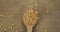 Top view of falling grains of peas into a wooden spoon. The grain fills the spoon and falls onto the burlap. Abundance