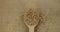 Top view of falling grains of wheat into a wooden spoon. The grain fills the spoon and falls onto the burlap. Abundance