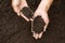 Top view. Farmer holding soil in hands.  The researchers check the quality of the soil.  Agriculture, gardening or ecology concept