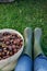 Top view of the farmer who rests after harvesting chestnuts