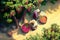 Top view of farmers harvesting fruits in the organic agriculture orchard. People lifestyles and occupation concept. Digital art