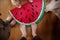 A top view of feet of family standing on large toy fruit indoors at home.