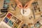 Top view of female hands making a macramÃ© bracelet with kumihimo on a wooden table with tools, spools of thread, natural stones