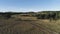 Top view of field and trees with rural road. Shot. Panorama from rural road with riding quad bikes. Two quad bikes with