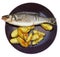 Top view of fish and fried potatoes on plate