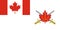 Top view of flag of Land Force Command 1998 2013 , Canada. Canadian travel and patriot concept. no flagpole. Plane design, layout