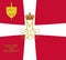 Top view of flag Schleswig Regiment of Foot, Denmark. Danish patriot and travel concept. no flagpole. Plane design, layout. Flag