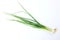 Top view and flat lay Fresh green onions isolate on a white background