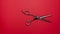 Top view flat lay of professional hair cutting shears on red background. Hairdresser salon equipment concept, premium set. Stop
