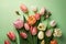 Top view with floral arrangement of tulips on gradient green background. Women\\\'s Day, Mother\\\'s Day concept