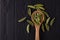 Top view of foglie spinach pasta on black wooden table with spoon