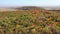 Top view of foliage tree forest during autumn colors