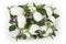 Top view food white eggplants with flowers and leaf in basket is