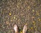 Top view foot Asian man on dry Banyan leaves texture for background