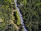 Top view of forests, trees and road.