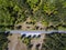 Top view of forests, trees and road.