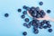 A top view of fresh blueberries on a blue background. Juicy and healthy blueberries in a wooden spoon. Harvest of blueberries.