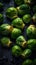 Top View Of Fresh Brussels Sprouts With Glistening Droplets Of Water - Generative AI