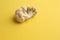 Top view of fresh cauliflowers isolated on a yellow background