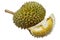 Top view of fresh durian fruit isolated on white background.