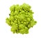 Top view of fresh romanesco broccoli isolated