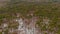 Top view frozen forest. All trees are covered with snow, ice. Aerial of winter