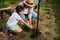 Top view. Gardeners planting seedlings in open ground. Family agribusiness. Little girl helps her mother in agriculture