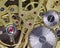 Top view gears of a golden mechanical pocket watch, mechanism of a clock