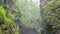 Top view of gorge between rocks in forest. Stock footage. Two cliffs covered with moss hang over small gorge with fog on