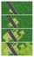 Top view graph shows in 4 steps how to start populating and deforesting an area in the middle of the jungle where a road was built