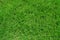 Top view of grass garden Ideal concept used for making green flooring, lawn for a training football pitch, Grass Golf Courses gree