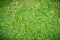 Top view of grass garden Ideal concept used for making green flooring Vignette adjustment, lawn for a training football pitch, Gra