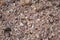 Top view gravel pebbles and sand on background close up