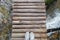 Top view gray sneakers on wooden bridge over river