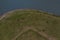 Top view grazing cows on river bank