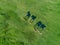 Top view of grazing horses in field